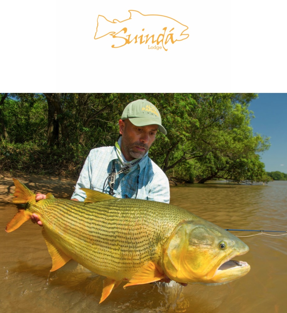 Il gatto con gli stivali best sale pesca