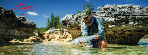 ABACO Lodge  - 20