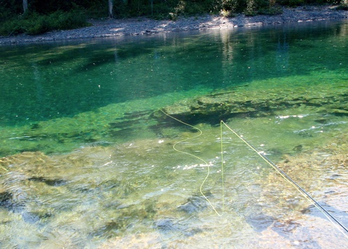 Bonaventure Dry Fly