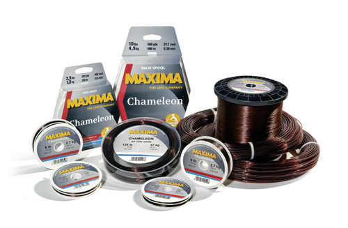 MAX_Chameleon_rgb.resized.resized