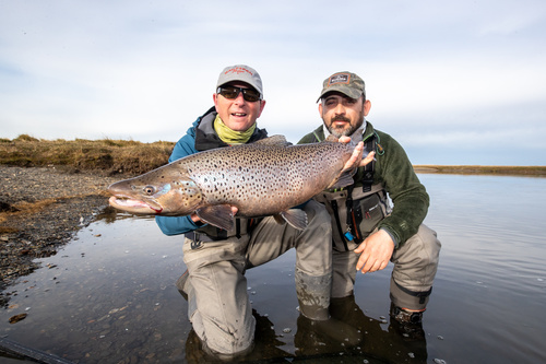 Sea Run Brown Trout di Matteo