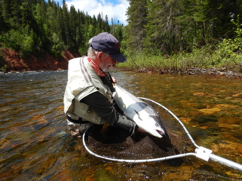 Pesca al salmone in Quebec