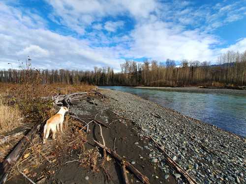 Pesca alle Steelhead - 2a parte - 3