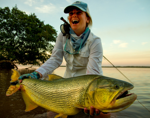 Sarah, 19 lbs dorado