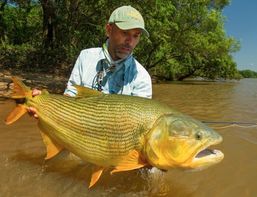 Una giornata di pesca nel Paranà