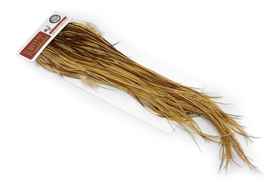Barred Medium Ginger 