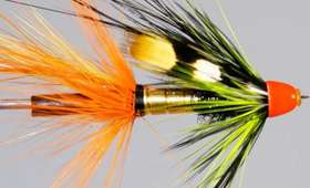 crayfly9[1]