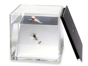 C&F DESIGN CFT-10 FISH EYE - 2