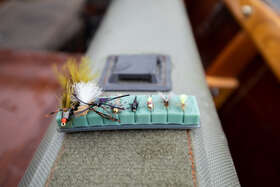 TACKY FLY DOCK - 5