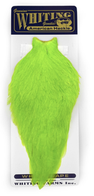White Dyed Fl.Green Chartreuse