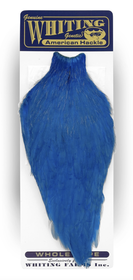 White Dyed Kingfisher Blue