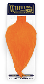 White Dyed Shrimp Orange